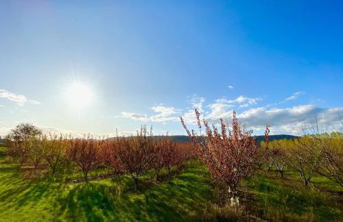 Belle demeure au coeur des Ménafauries - Photo 4