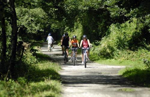 2 Bed in Wadebridge oc-p00374 - Foto 17