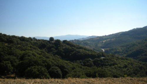 Agriturismo Il Melo - Photo 5