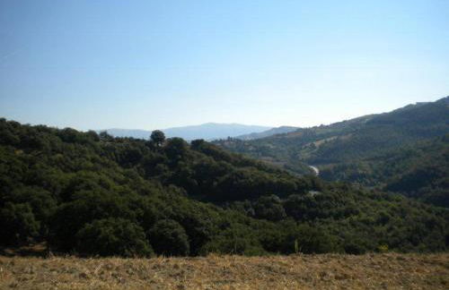 Agriturismo Il Melo - Foto 5