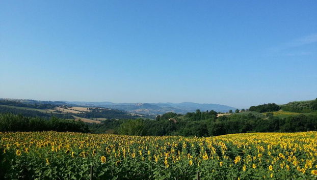 Agriturismo Il Borghetto - Foto 2