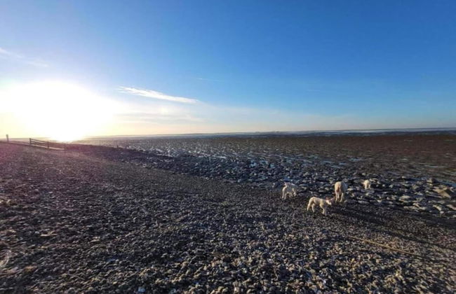 Bungalow in Sondel Near Slotermeer Lake - Foto 13