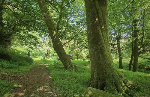 Ta Mill Cottages & Lodges - Pump Cottage - Foto 28