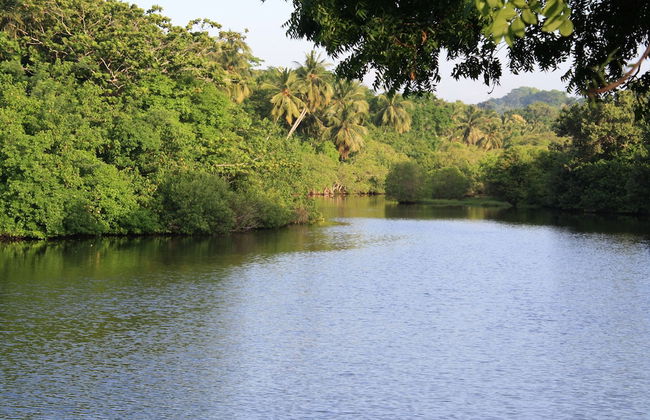 Casa Tangalle - Photo 16