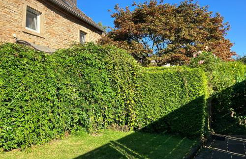 Ferienwohnung im Grünen EG mit Terrasse - Foto 26