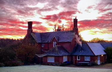 Farmhouse in the heart of the New Forest - Foto 34