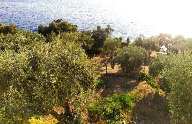 Villa Leonidas GreeceFiloxenia - Photo 64