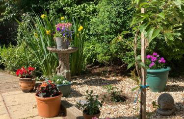 East Hillerton House - Foto 73