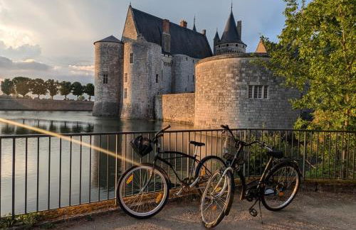 Maison de marinier les pieds dans l'eau face à la Loire - Photo 13