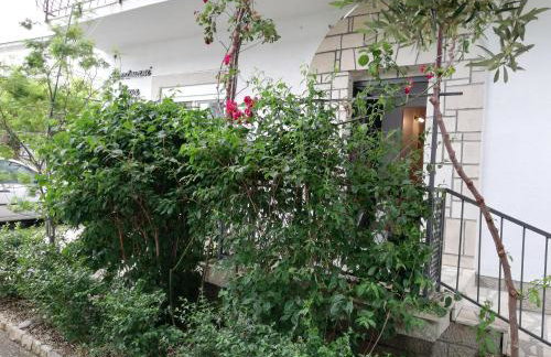 APARTMANI NOVA - Photo 1