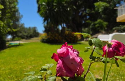 Estudio en Benalmádena - Foto 26