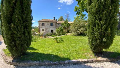 Monte Pino - Foto 4, Garden, Garden view