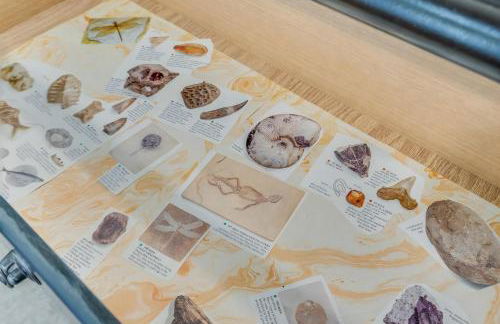 The Shore Shanty - Foto 22