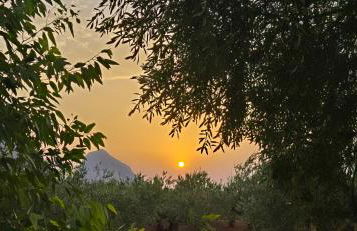 Al Civico 365 - Foto 30