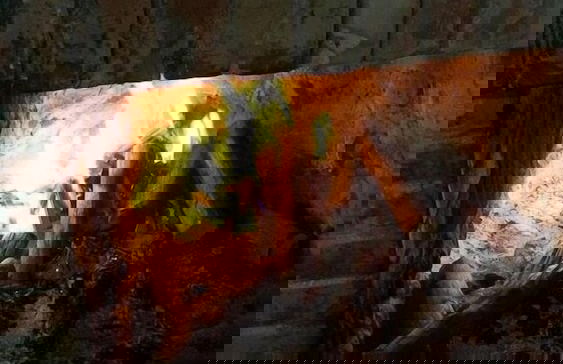 Masseria Salecchia - Photo 40