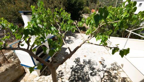 Theaktis Homes - Foto 3