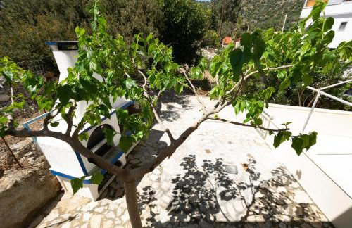 Theaktis Homes - Foto 3