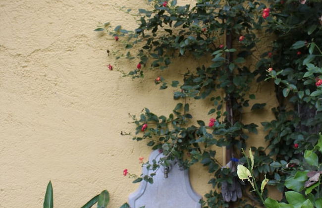 Residence Al Vittoriale - Foto 15