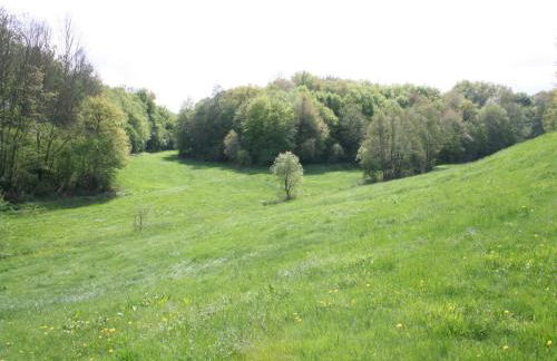 gemütliche Ferienwohnung in Kaifenheim - Foto 44