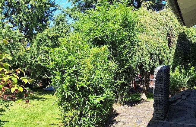 Relaxing Holiday Home in Willersdorf in the Forest - Photo 44