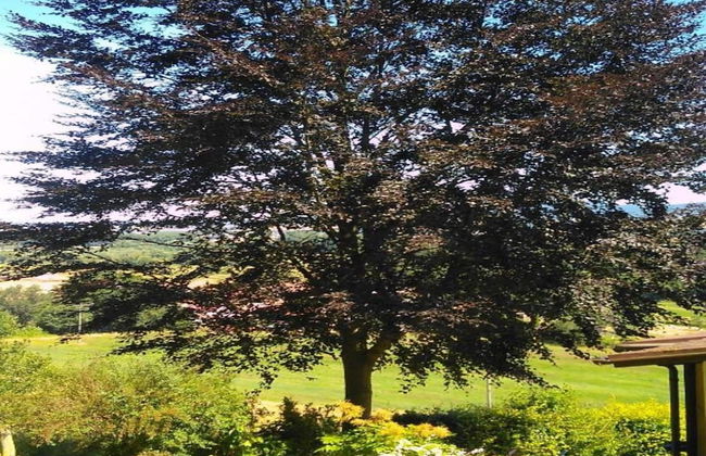 Charmantes Ferienhaus mit Naturgarten - Foto 40