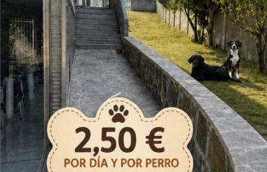 Casa completa - Camiño dos faros - Atlantico Malpica - Foto 8