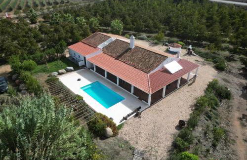 Monte do Pantaleão - Foto 17