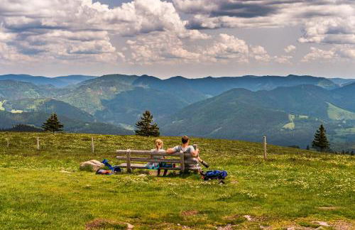 Schwarzwaldliebe - Foto 20