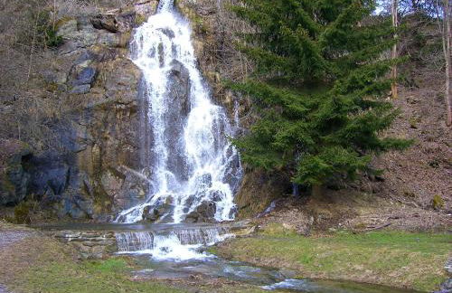 Ferienwohnungen Königshof - Foto 3