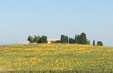 L'Ulivo Bianco - Foto 17