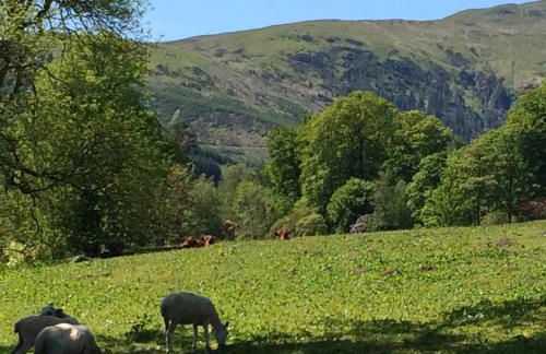 Leny Estate - Photo 41