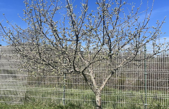 Casas rurales 4 valles - Foto 48