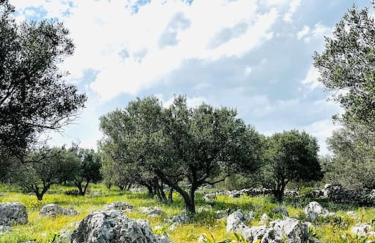 Maison Théia, entre mer et montagne Samonas - Foto 47