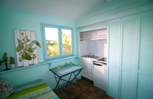 Pousterle de Sabran - Piscine & Hammam - Foto 29