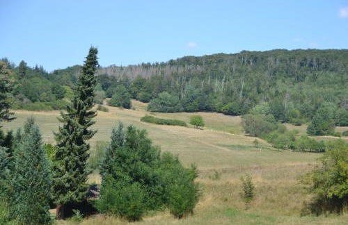 Frankenau Fewo Kellerwald - Foto 16