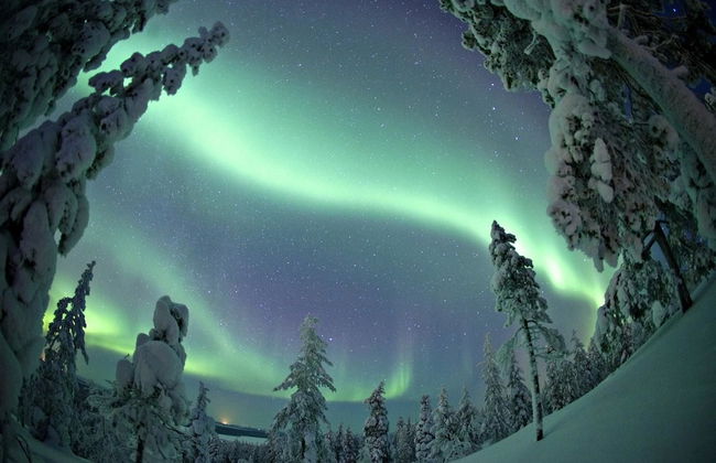 Lomavekarit - Foto 20