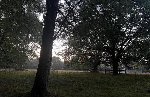 4 Bed in Eye- oc-34389 - Foto 41