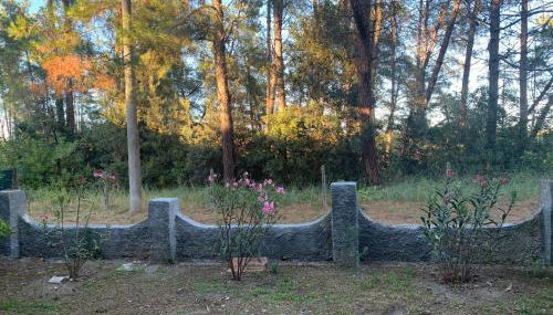 Appartamento Laguna - Foto 2