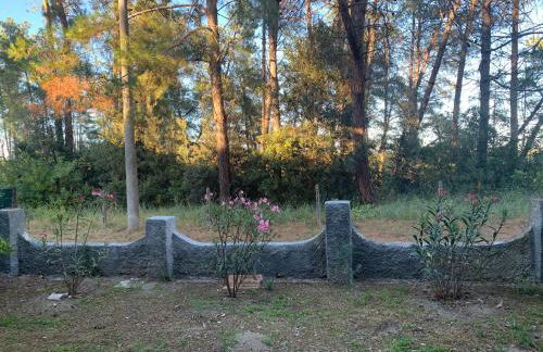 Appartamento Laguna - Foto 2