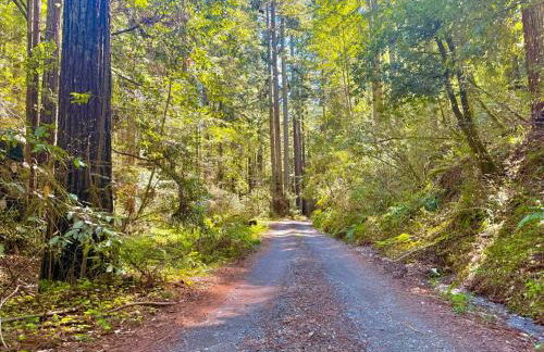 Cozy cabin deep in the redwoods with WiFi and Hot Tub - Foto 22