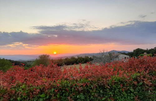 Agriturismo Trosciole - Foto 13