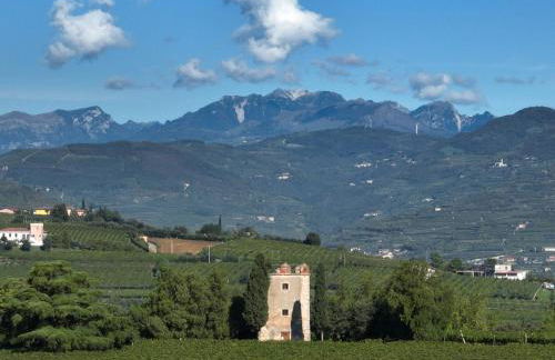 Agriturismo Monte Bisson - Foto 15