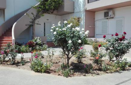 Yannis Apartments - Photo 47