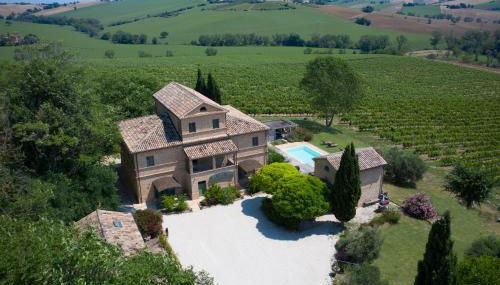 La Vita Nuova - Foto 5