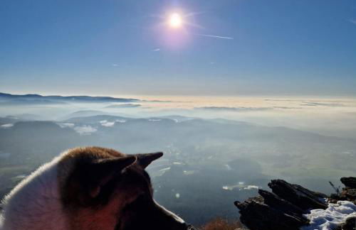 Schönes Apartment / Ferienwohnung am Regen - Foto 26