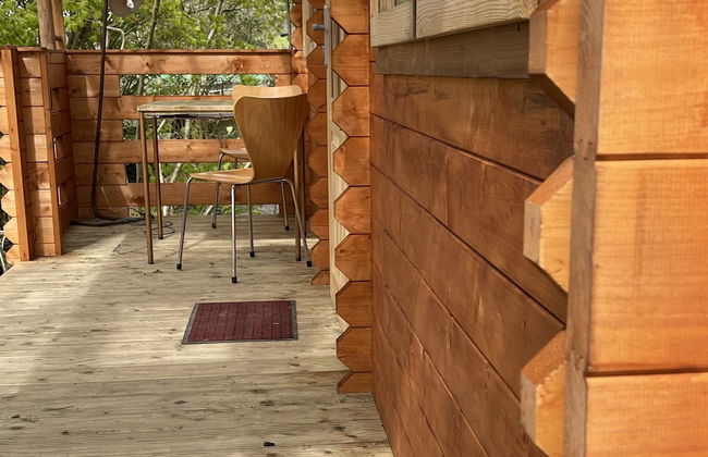 Retro Lodge nr Dartoor With hot tub & opt Sauna - Foto 15