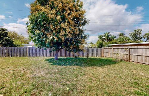 Palm Dreams - Foto 28