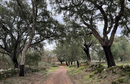 Casa Rural Alegría - Foto 17