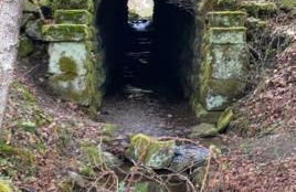 Sheppard's Holler - Photo 10