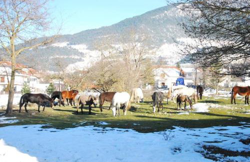 Ενοικιαζόμενη Παραδοσιακή κατοικία Σαν Παραμύθι - Foto 43
